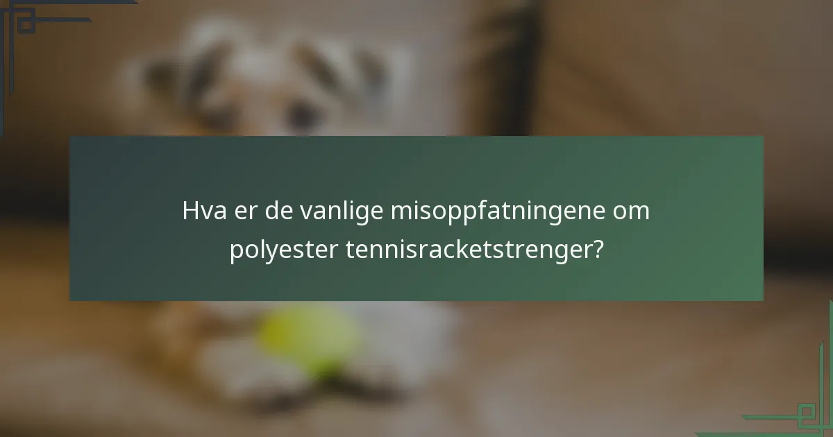 Hva er de vanlige misoppfatningene om polyester tennisracketstrenger?