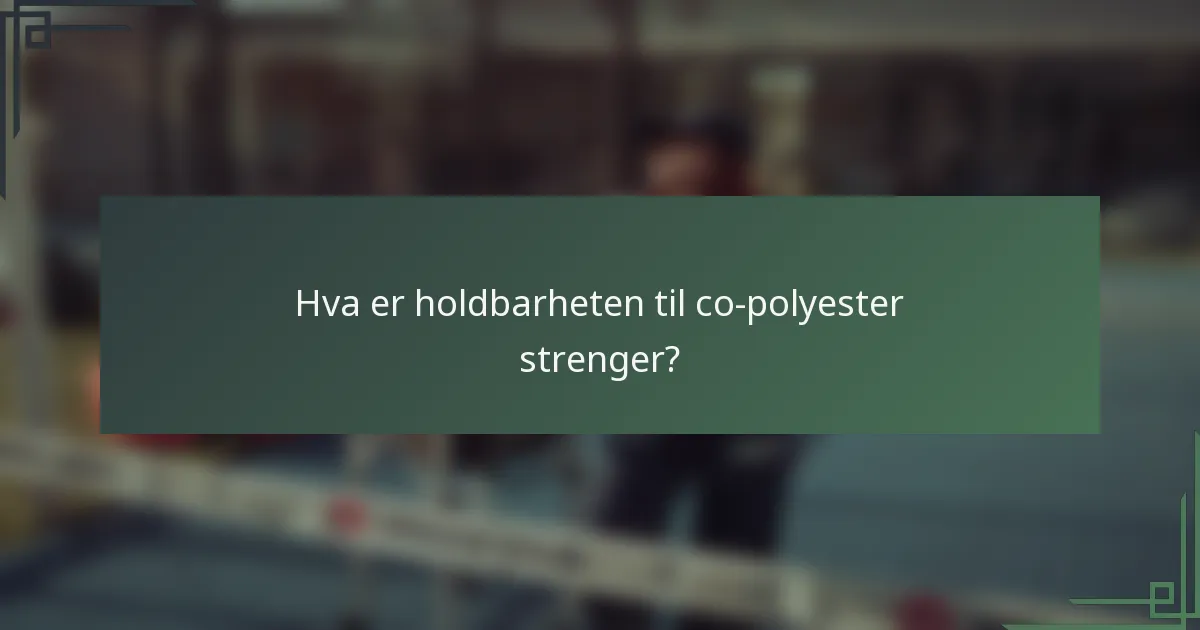 Hva er holdbarheten til co-polyester strenger?