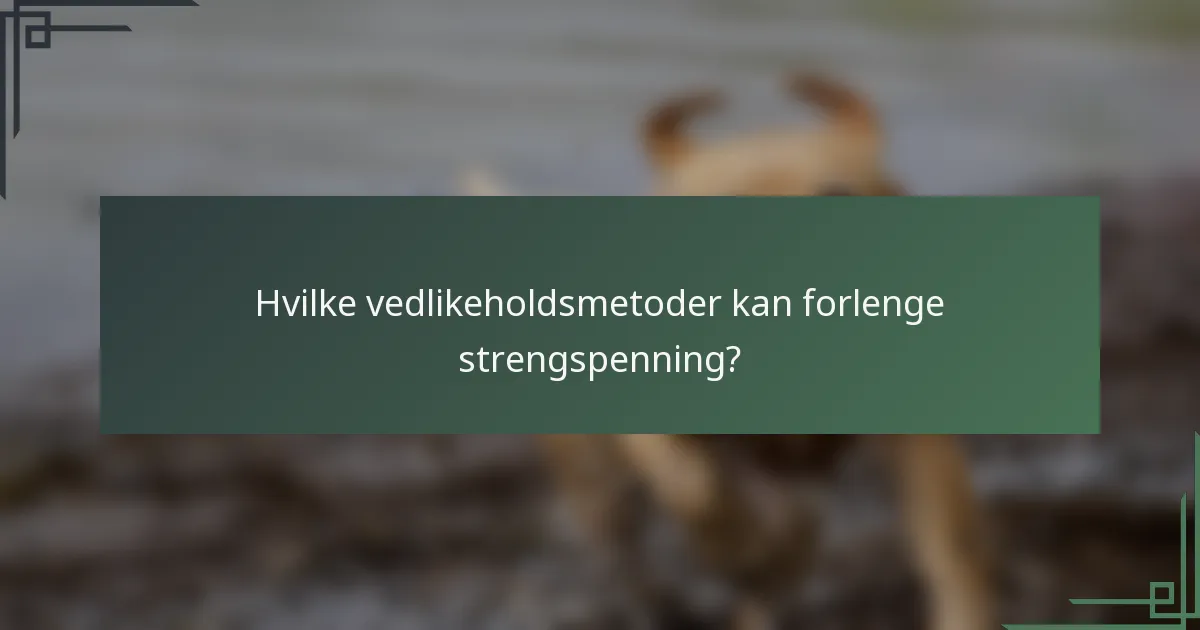 Hvilke vedlikeholdsmetoder kan forlenge strengspenning?